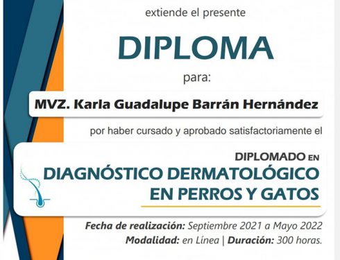 Diplomado en Diagnóstico Dermatológico en Perros y Gatos